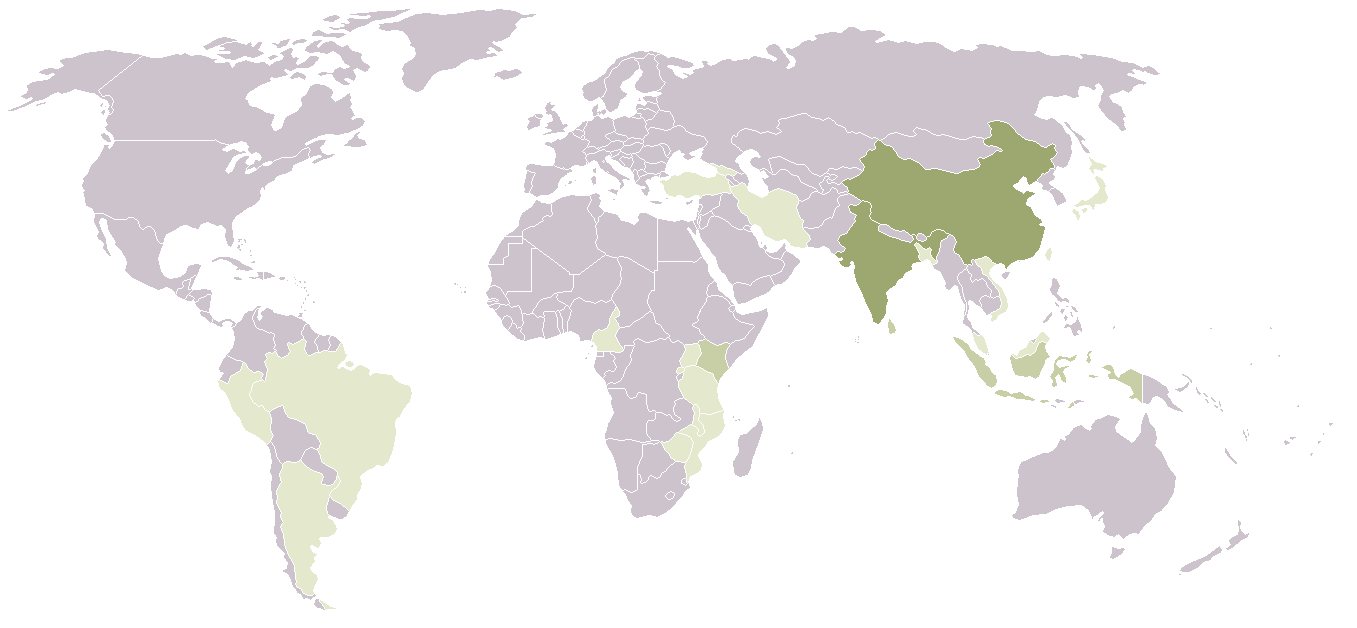 Carte de production du thé dans le monde