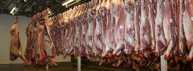 Abattoir et consommation de viande