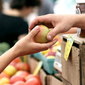 Grocery haul épicerie et vidéos de courses