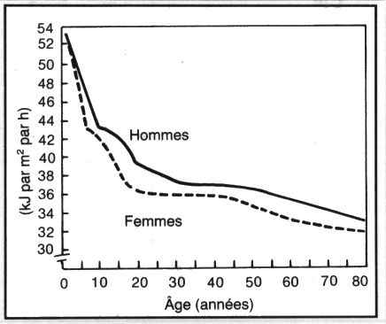 Ralentissement du métabolisme avec l'âge