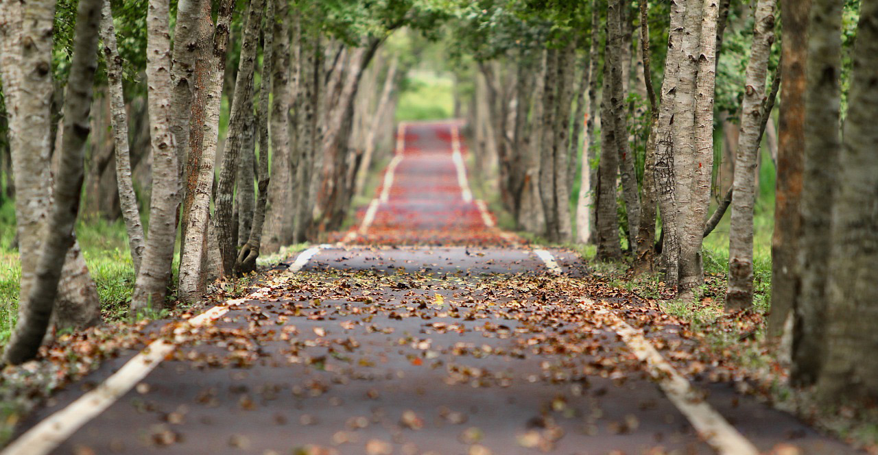 Le chemin vers la forme vaut la peine d'être parcouru.