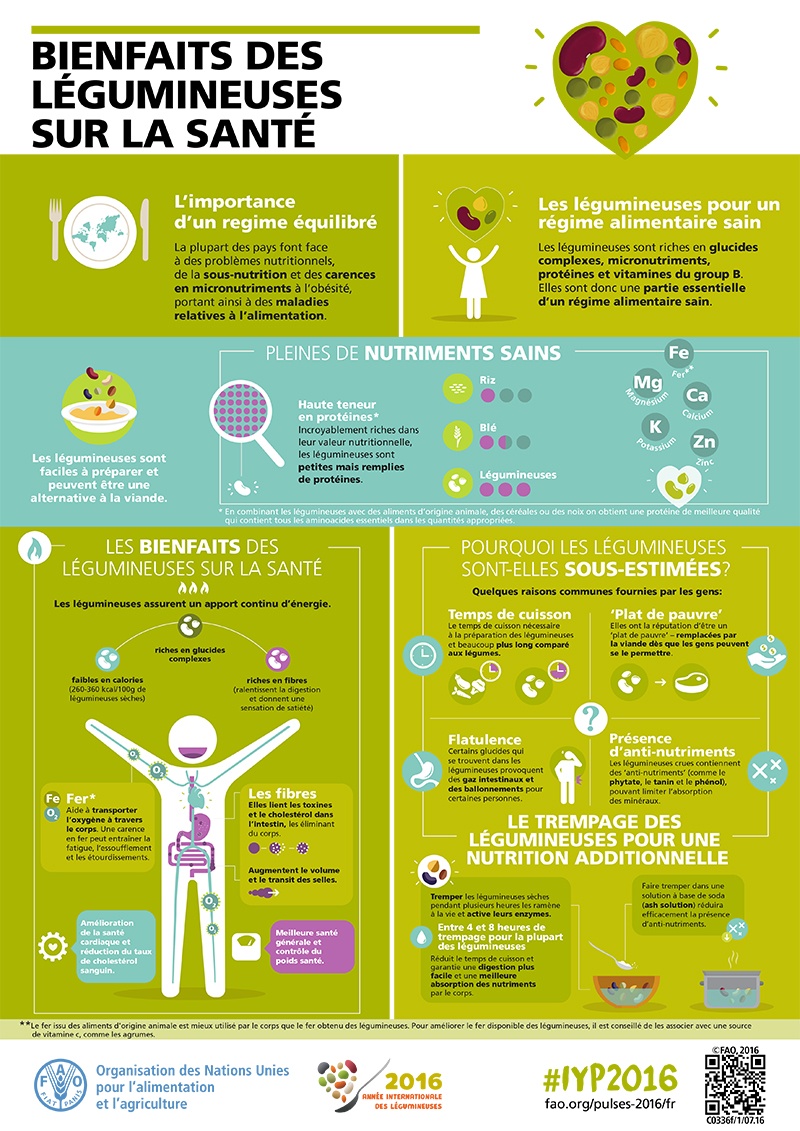 Bénéfices des légumineuses sur la santé