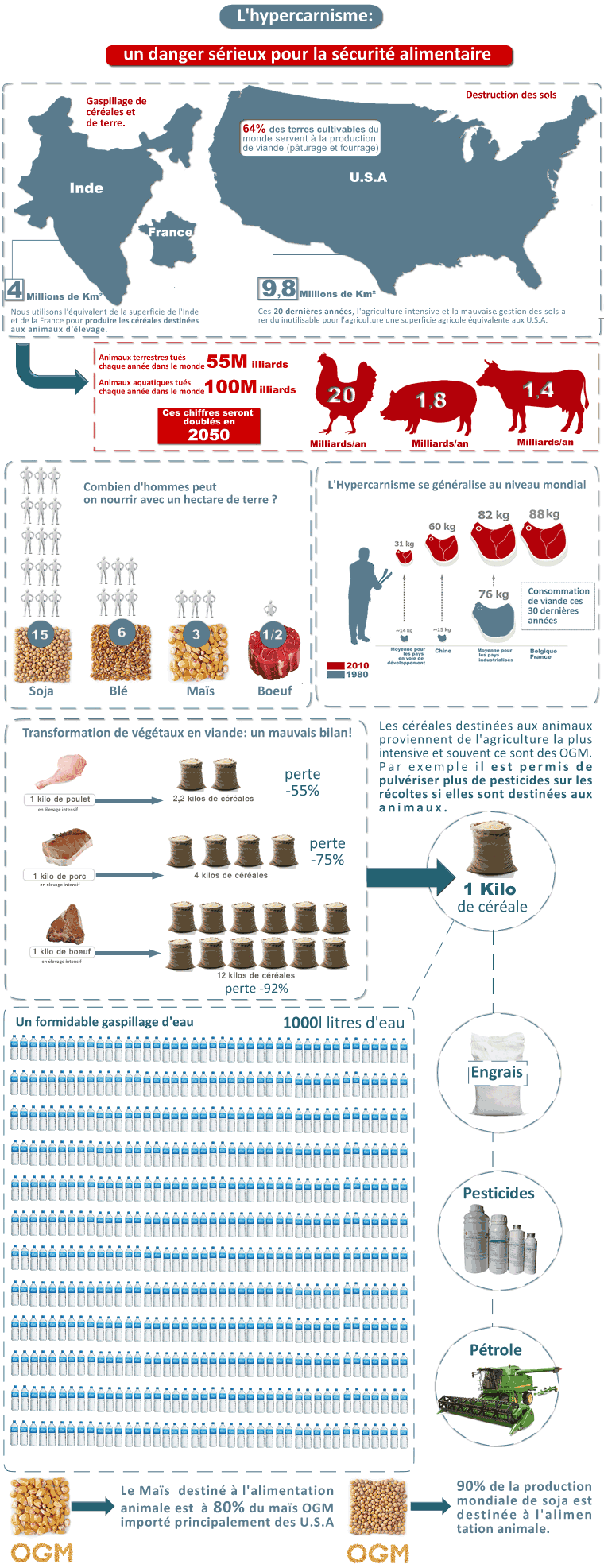 Impact de la consommation de viande : hypercarnisme