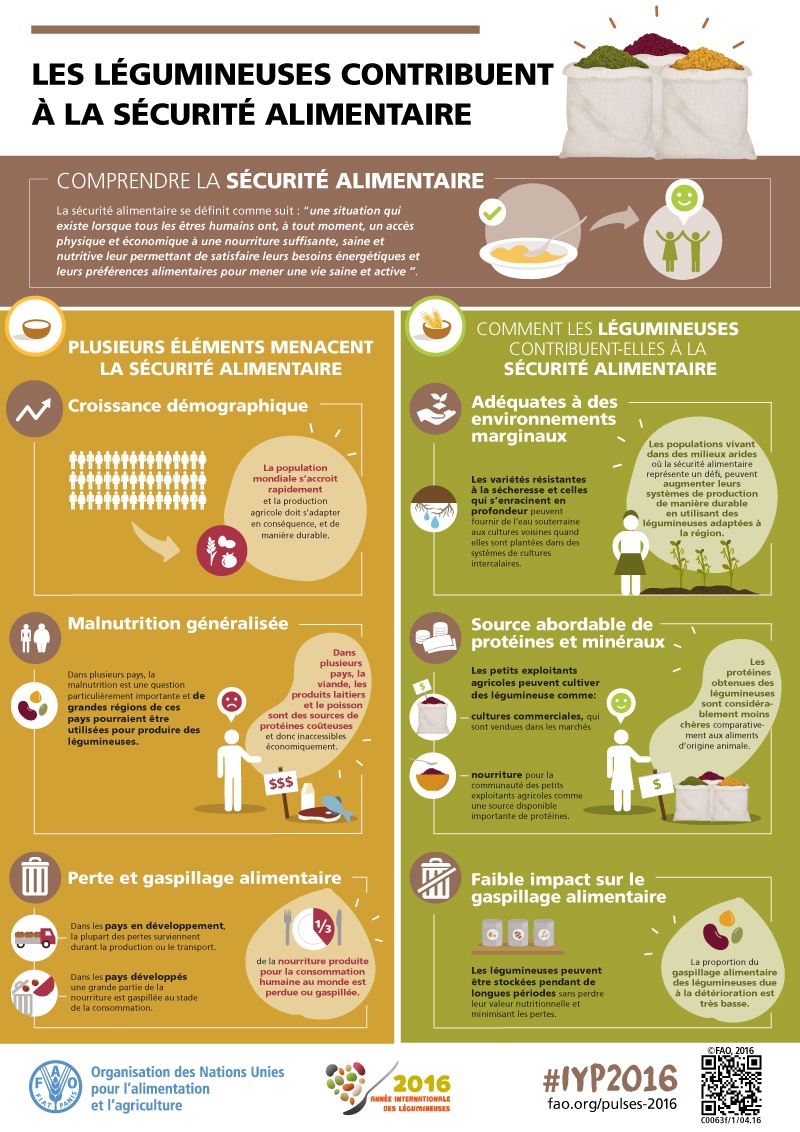 Les légumineuses contribuent à la sécurité alimentaire