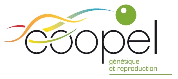 Logotype COOPEL