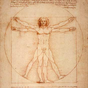 Homme de Vitruve par Leonard de Vinci et morphotypes
