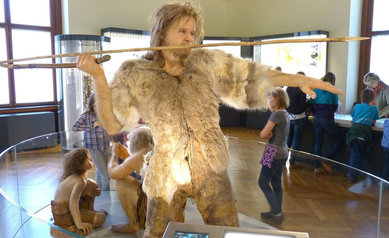 Photographie d'un chasseur Homo Sapiens au Muséum d'histoire naturelle de Vienne en Autriche