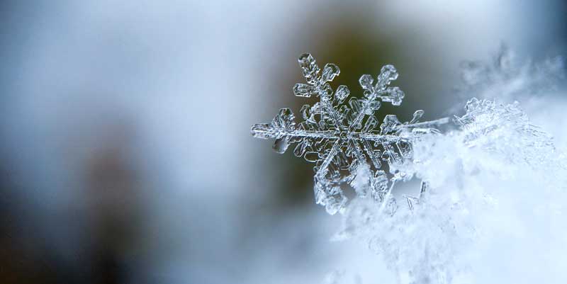 Photographie macro d'un flocon de neige en hiver