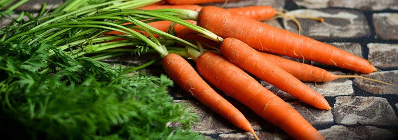 Photographie en gros plan d'une botte de carottes, qui font partie des aliments riches en fibres alimentaires.