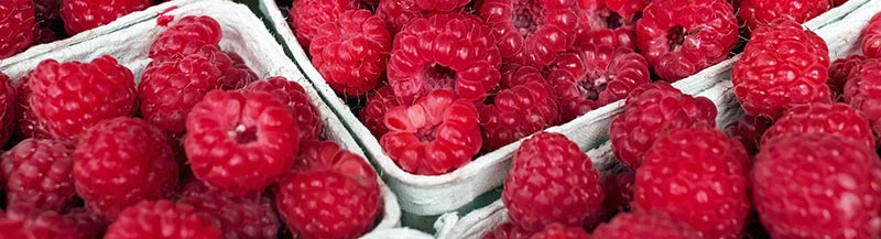 Photo de barquettes de framboises rouges qui font partie des aliments riches en fibres alimentaires