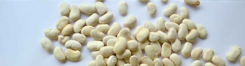 Photo d'haricots blancs, aliments riches en fibres alimentaires