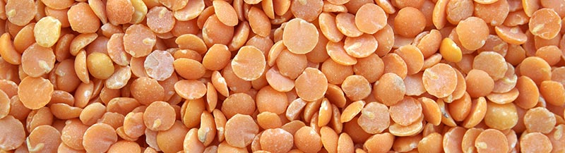Photographie couleur en gros plan de lentilles corail oranges, qui font partie des aliments riches en fibres alimentaires.