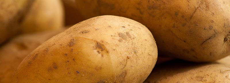 Gros plan d'une photographie de pommes de terre, aliments riches en fibres alimentaires