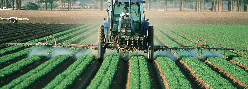 Photographie d'un agriculteur dans son tracteur, en train de répandre des pesticides et des insecticides sur sa production maraîchère.