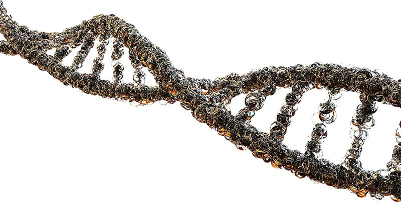 Illustration d'un ruban d'ADN composé de bulles de minéraux, d'acides aminés, d'acides gras et d'oligo-éléments.