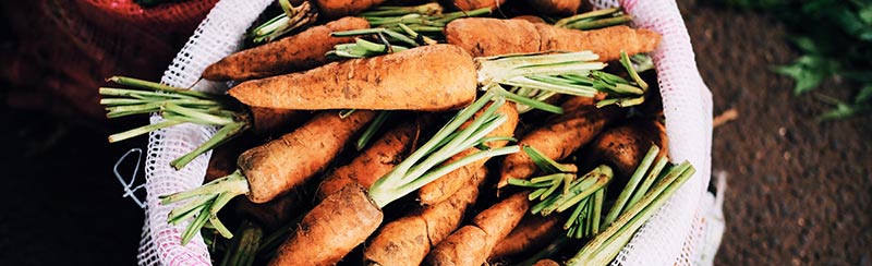 Photographie d'aliments bio, en l'occurence des carottes encore recouvertes de terre dans un sac