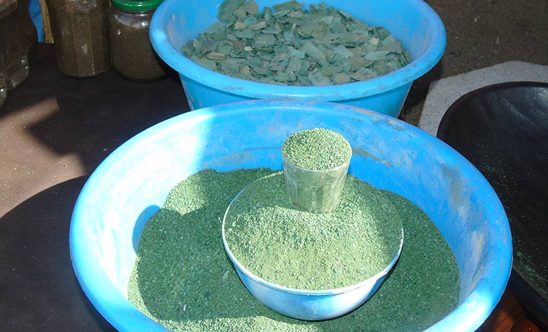 Poudre d'algue verte en vrac dans une bassine bleue, vendue en Afrique