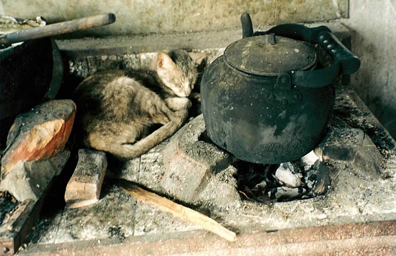 Photographie d'un chat gris en train de dormir en boule sur un réchaud en pierre en Thaïlande à côté des braises du feu de bois sur lequel repose une théière en fonte.