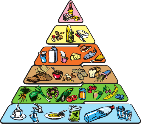 Pyramide nutritionnelle pour l'équilibre alimentaire : manger équilibré garanti une micronutrition complète afin de limiter les risques de carences alimentaires