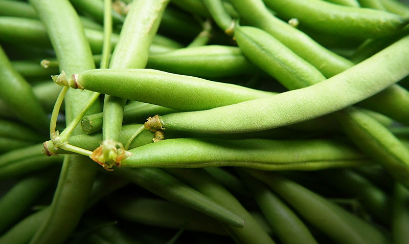 Comment congeler ou cuire des haricots verts frais ?