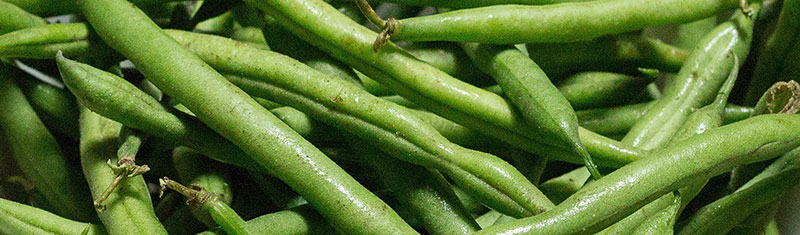 Haricots verts