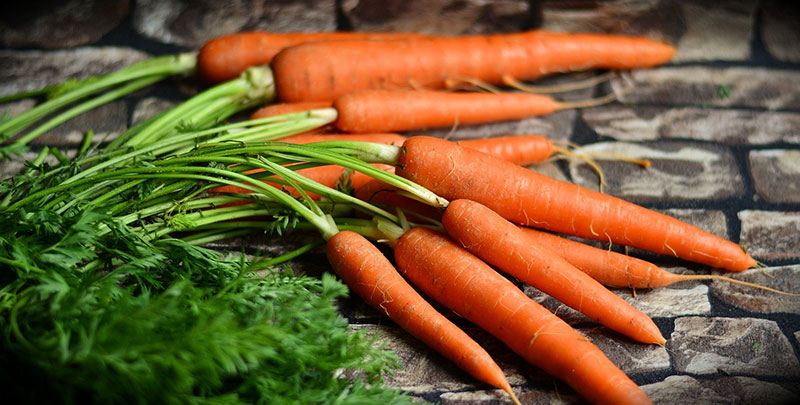 Comment conserver les carottes pour éviter qu'elles deviennent molles ?