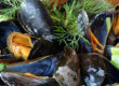 Recette de moules marinières : comment les préparer ?