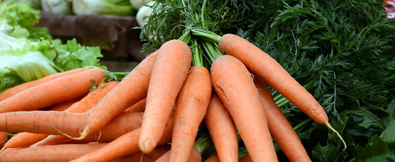 Légumes frais en direct du jardin